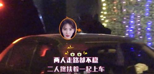 神秘人爆料惠子的视频,惠子视频背后的惊人真相  第1张