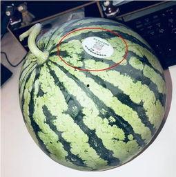 网红吃瓜的时候,揭秘娱乐圈幕后真相 第3张 网红吃瓜的时候,揭秘娱乐圈幕后真相 第3张