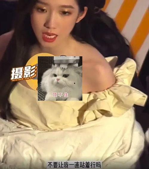 董艳颖被人爆料视频,揭秘背后真相 第3张 董艳颖被人爆料视频,揭秘背后真相 第3张